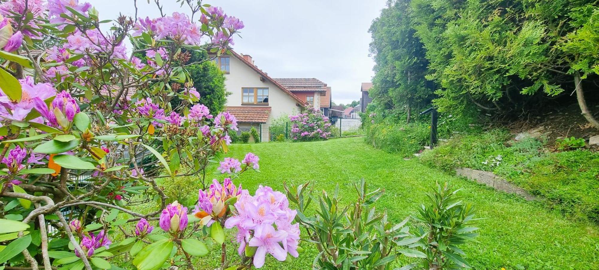 Villa Haus Siggi Braunlage Exterior foto